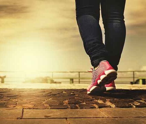 Jak wyczyścić dach z mchu? Efekty, koszty i skuteczność w praktyce