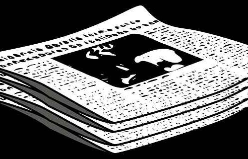 Co nie jest objęte ubezpieczeniem psa? Lista pułapek, które zaskakują