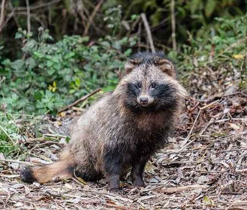 Jak działa korek akustyczny – skuteczność tłumienia hałasu