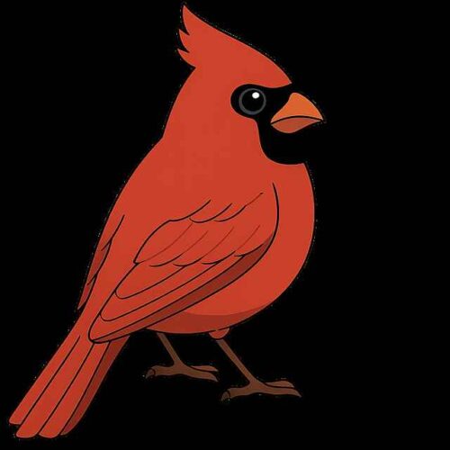 Czy integra jest trudniejsza w prowadzeniu niż półintegra? Wyniki testów